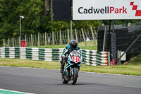 Middle Group Multicolour Bikes